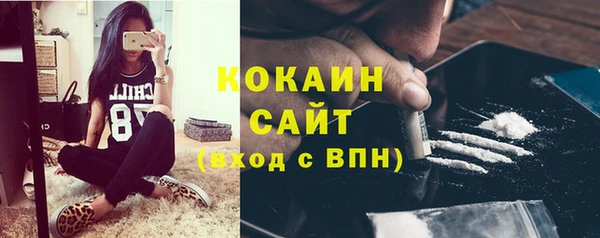 Альфа ПВП Аркадак