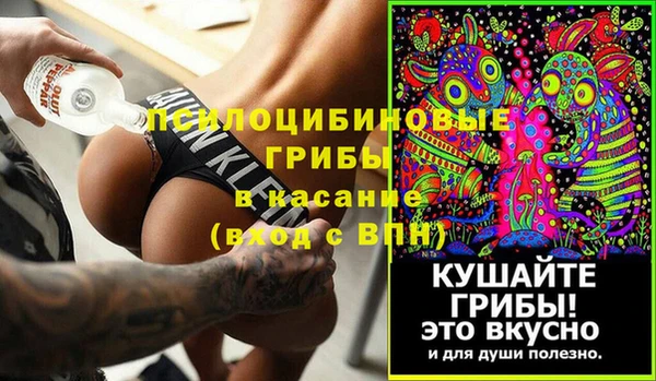 Альфа ПВП Аркадак
