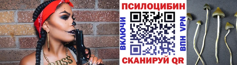 Галлюциногенные грибы Cubensis  это как зайти  Рославль 